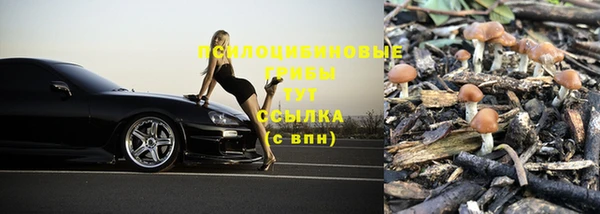 таблы Абинск