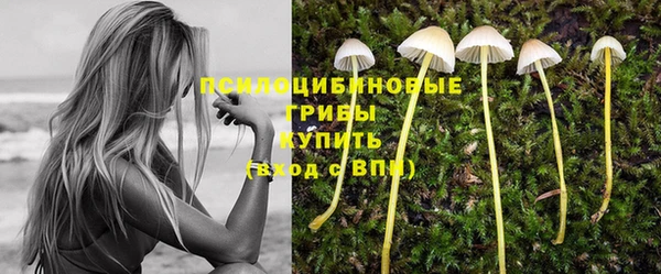 шишки Михайловка